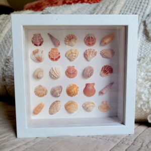 Seaside Treasures Framed Shell Art