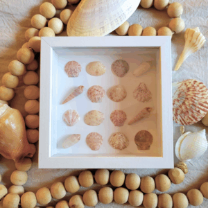 Seaside Treasures Framed Shell Art