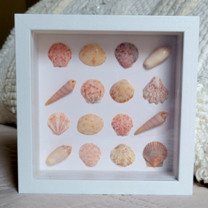 Seaside Treasures Framed Shell Art 780