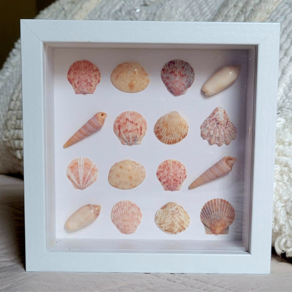 Seaside Treasures Framed Shell Art 780