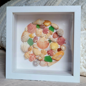 Seaside Treasures Framed Shell Art 782