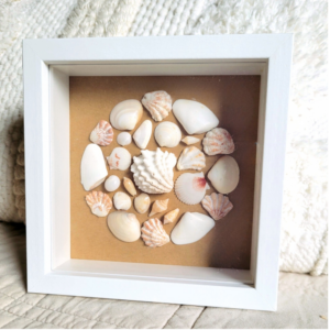 Seaside Treasures Framed Shell Art 797