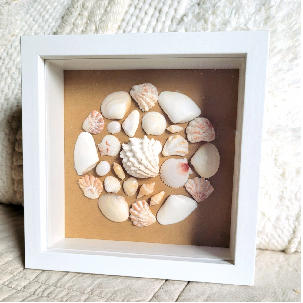 Seaside Treasures Framed Shell Art 797