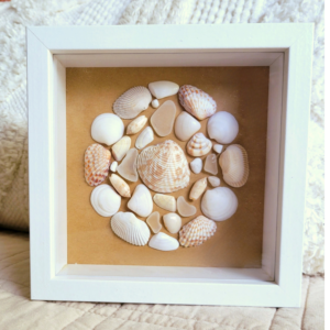 Seaside Treasures Framed Shell Art 798