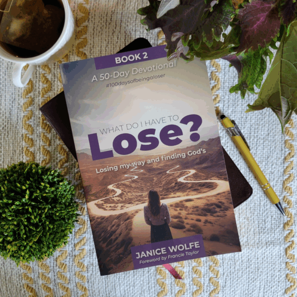 What Do I Have to Lose? Losing My Way and Finding God's--Book Two