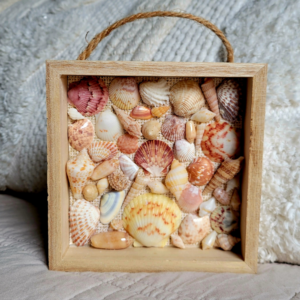 Seaside Treasures Framed Shell Art 778