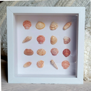 Seaside Treasures Framed Shell Art 779