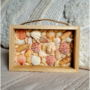 Seaside Treasures Framed Shell Art 781
