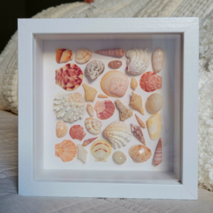 Seaside Treasures Framed Shell Art 783