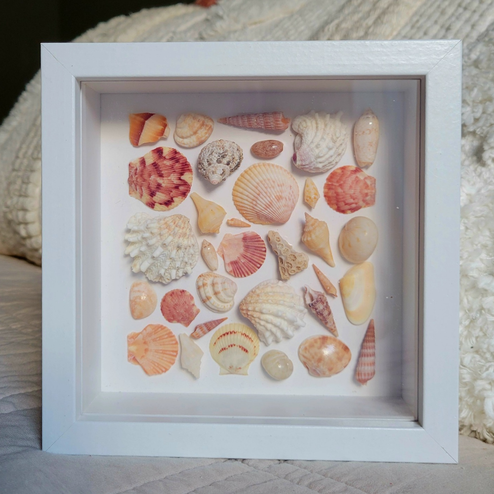 Seaside Treasures Framed Shell Art 783
