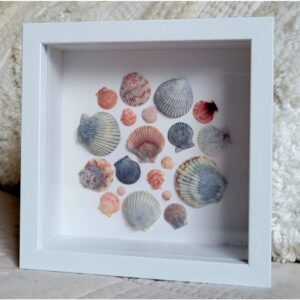 Seaside Treasures Framed Shell Art 784