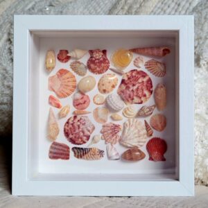 Seaside Treasures Framed Shell Art 785